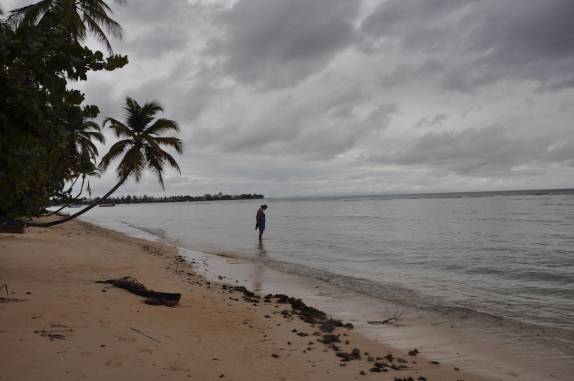 Observando os peixes em Pigeon Point, em Crown Point - Tobago